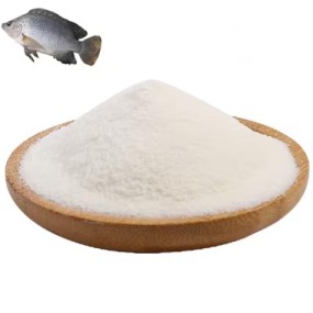 Marine Collagen Peptide Factory - Water Soluble