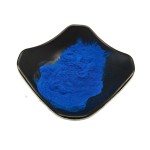 Spirulina Extract Powder Factory - Phycocyanin E6 E30