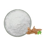Gastrodia Extract Powder Factory - Gastrodin 98%
