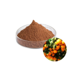 Citrus Extract Supplier - Dulcis Extract 60%