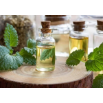 Peppermint Oil Manufacturer - Steam Distilled