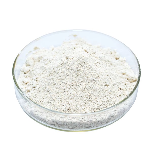 Huperzine-A Powder Manufacturer - 98% Natural