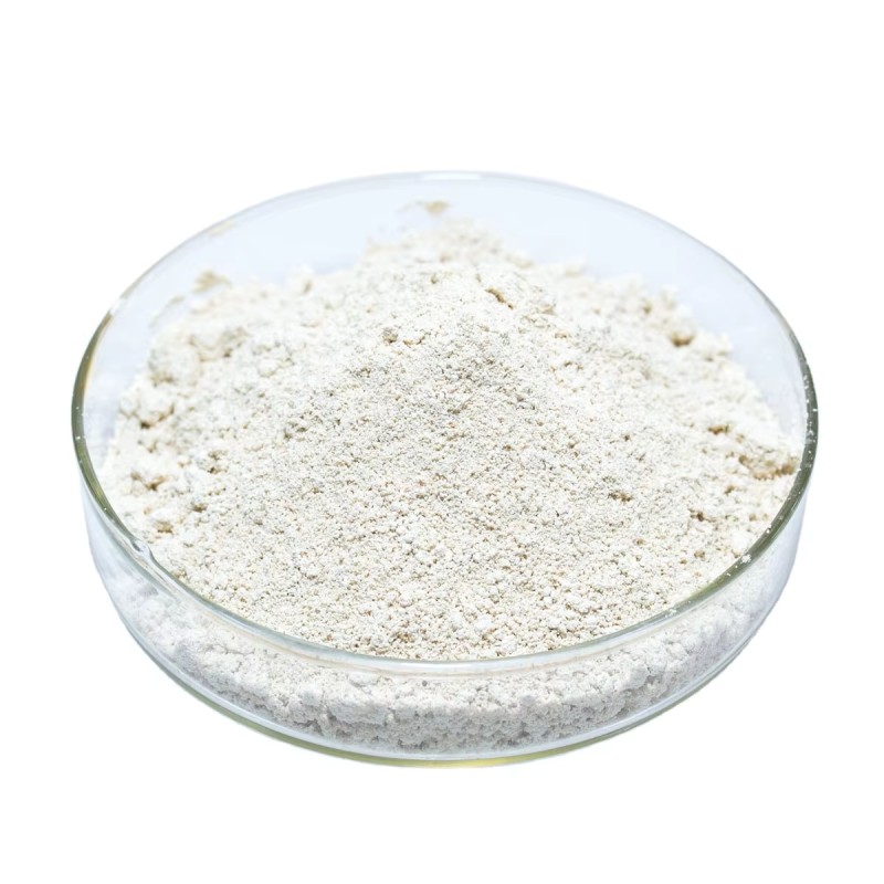 Huperzine-A Powder Manufacturer - 98% Natural