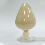 Natto Extract Supplier - Nattokinase Powder