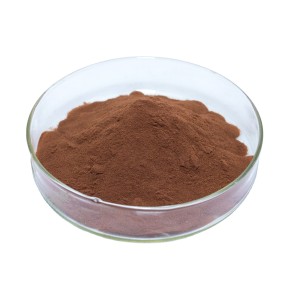 Aesculus Extract Factory - Organic Aescin