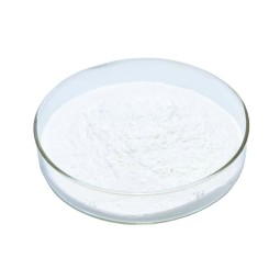 Nattokinase Powder Supplier - 5000FU/G Herbal