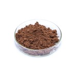 Butchers Broom Extract Supplier - 20:1 Root