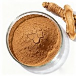 Siberian Ginseng Extract Supplier - Eleutherosides