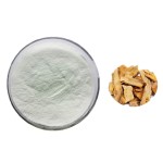 Polygonum Extract Manufacturer - Resveratrol 98%