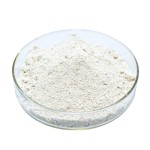 Aescin Powder Manufacturer - 98% Escin CAS