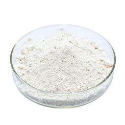 Aescin Powder Manufacturer - 98% Escin CAS