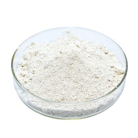 Aescin Powder Manufacturer - 98% Escin CAS