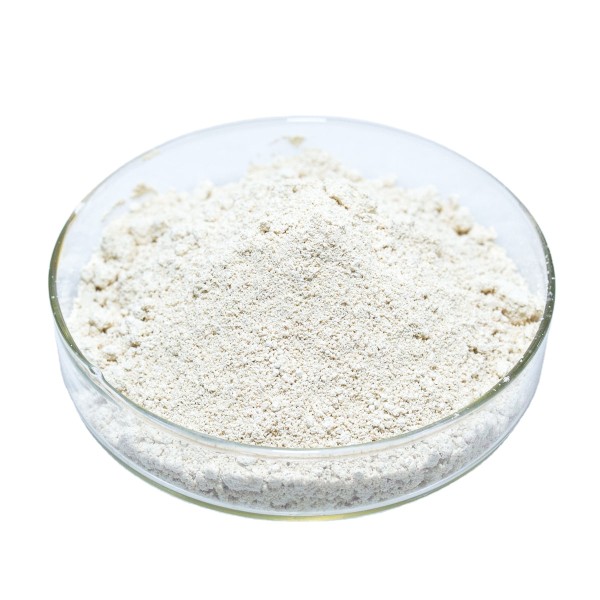 Aescin Powder Manufacturer - 98% Escin CAS