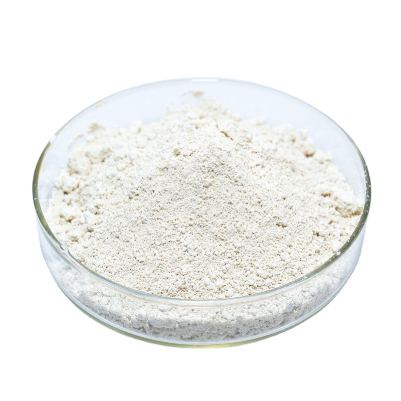 Aescin Powder Manufacturer - 98% Escin CAS