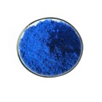 Spirulina Extract Powder Factory - Phycocyanin E6 E30