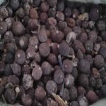 Citrus Aurantium Extract Factory - Naringoside