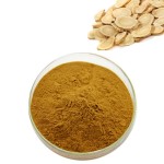 Astragalus Extract Supplier - Astragaloside A