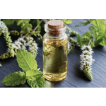 Peppermint Oil Manufacturer - Steam Distilled