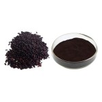 Black Rice Extract Manufacturer - Anthocyanins Powder