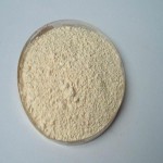 Horse Chestnut Extract Supplier - Aescin Powder