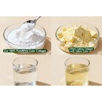 Marine Collagen Peptide Factory - Water Soluble