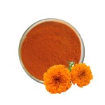 Marigold Extract Powder Factory - Lutein Zeaxanthin
