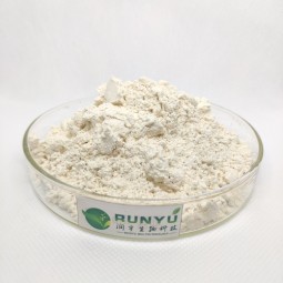 Grapefruit Seed Extract Supplier - Naringin 99%