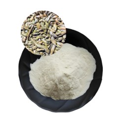 Leech Extract Supplier - Hirudin Powder