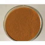 Polygonum Extract Factory - 50% Resveratrol