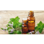 Peppermint Oil Manufacturer - Steam Distilled