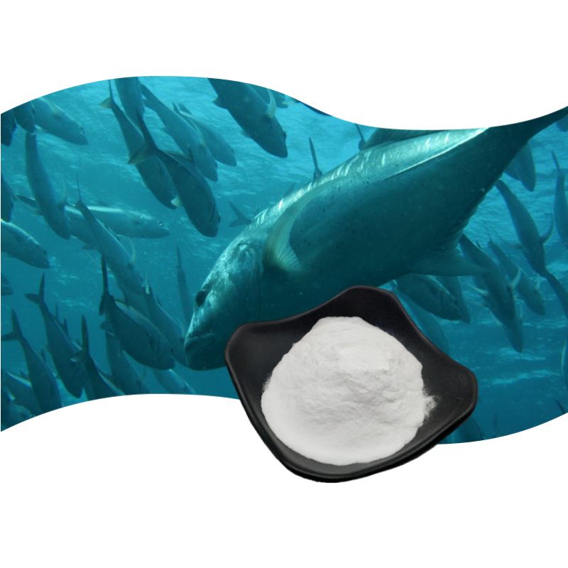 Multi Collagen Peptides Supplier - Protein Powder