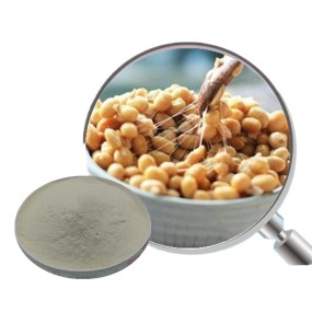 Natto Extract Supplier - Nattokinase Powder