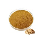 Astragalus Extract Supplier - Astragaloside A