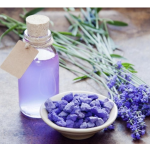 Lavender Essential Oil Manufacturer - Steam Distilled