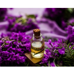 Lavender Essential Oil Manufacturer - Steam Distilled