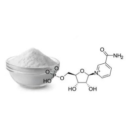 NMN Powder Supplier - Beta Nicotinamide Mononucleotide