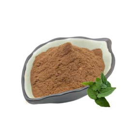 Epimedium Extract Supplier - Icariin Powder 10-20%