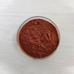 Ruscogenins Powder Factory - 5% OEM Service