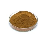 Bacopa Extract Factory - Bacopasides Powder