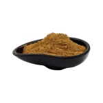 Rosehip Extract Factory - 10% Flavonoids Powder