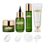 OEM ODM Centella Asiatica Skin Care Set Facial Brightening Calming Redness Reduce Skincare Set Hyaluronic Acid for Skin Care