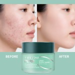 Free Samples Sleeping Mask Gel Night Cream Hydrating Refreshing Overnight Seaweed Pdrn Sleep Mask