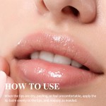 Custom Lip Balm With Logo Moisturizing Lasting Hydration Strengthens Barrier Collagen Peptide Mint Glossy Lip Balm