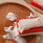 OEM Natural Cranberry Loofah Soap Bar Olive Oil Coconut Oil Nourishes Antioxidant Gently Exfoliates Skin Care Loofah Bar Soap