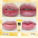 Private Label Hydrating Vegan Natural Custom Logo Beeswax Lip Balm Shea Butter Coconut Oil Lip Balm