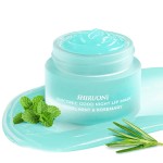 Lip Care Fade Wrinkles Hydrating Repair Treatment Jelly Mint Rosemary Custom Collagen Moisturizing Lip Mask