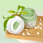 Private Label Natural Organic Deep Cleansing Oil Control Detox Aloe Vera Green Tea Matcha Face Clay Mask