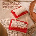 OEM Natural Cranberry Loofah Soap Bar Olive Oil Coconut Oil Nourishes Antioxidant Gently Exfoliates Skin Care Loofah Bar Soap