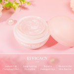 Private Label Long-Lasting Nourishment 24-Hour Intense Hydration Pdrn Collagen Jelly Sleeping Lip Mask