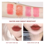 Tattoo Lipstick Supplier - Cotton Swab Application